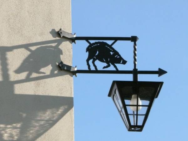 lamp "cinghiale" Manciano (Gr)